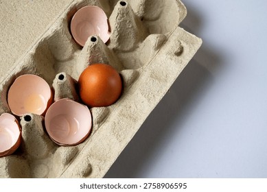 Broken eggshells with single intact egg