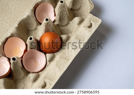 Broken eggshells with single intact egg