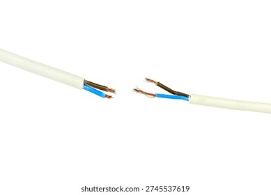 Broken Electrical Cable with Separated Wire Ends Isolated on White Background – Damaged Power Cord, Wiring Failure, Repair and Maintenance Concept