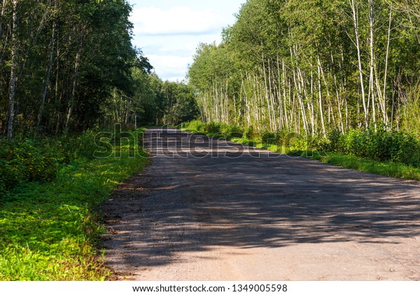 Broken empty asphalt country road surrounded by\
trees in sunny summer day. Road with holes in the green wood. A\
hole in the road