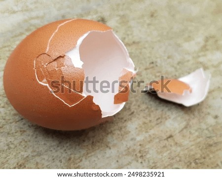 Broken empty chicken egg shells on cement floor. Eggshell trash. .