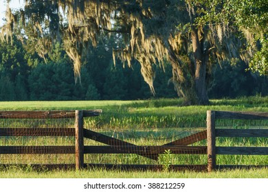 Broken Farm Ranch Four Board Wood Fence In Front Of Green Pasture Field In The Southern Countryside