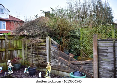 Broken Fence Pannel