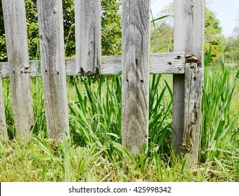 Broken Fence Wood