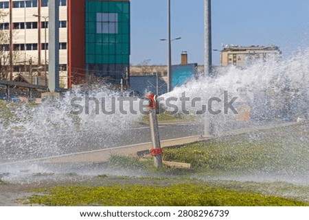 Broken Fire Hydrant Spraying High Pressure Water at Street and Park