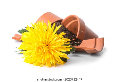 Broken flower pot on white background