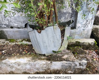 Broken Flower Pot In The Yard