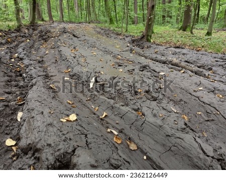 Broken forest road between trees. A lot of swamps on the forest road. Impassable road in the forest.