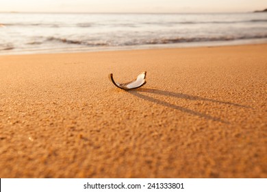 Broken Glass Bottle Sand Stock Photo 241333807 | Shutterstock