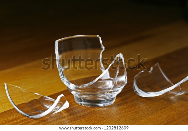 Broken Glass Cup Stock Photo 1202812609 Shutterstock