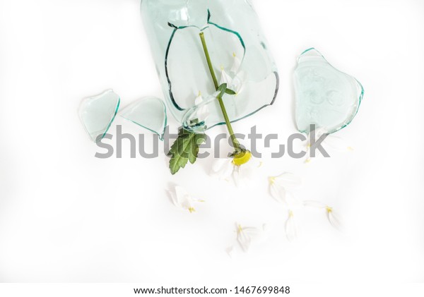 Broken Glass Flower Broken Vase Concept Stock Photo Edit Now