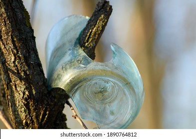 Broken Glass Jar On The Branch