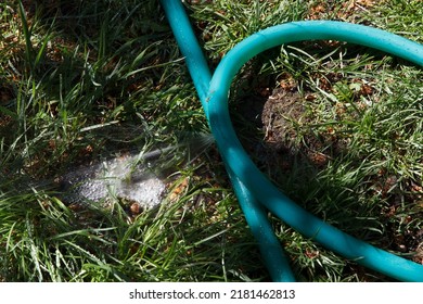 From A Broken Hose For Watering The Garden, A Stream Of Water Whips Under Pressure In Summer