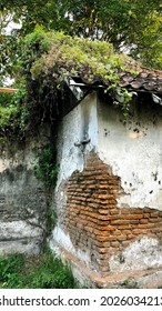 Broken House With Wild Plants On The Roof