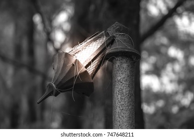 Broken Lamp Post