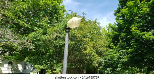 Broken Lamp Post At The Park