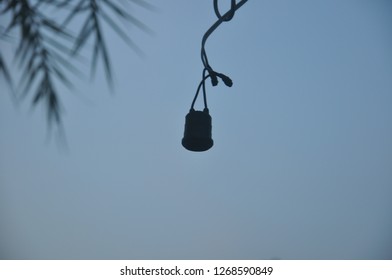 The Broken Light Bulb With Leaf Background.