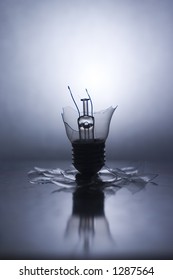 Broken Lightbulb With Reflection