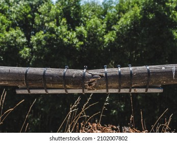 A broken log connected to each other with black tape and green trees on the background