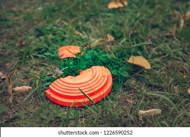 Broken Orange Flying Plate Lying On The Grass