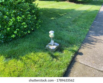 Broken Outdoor Light Fixture With Green Bulb Of Compassion.