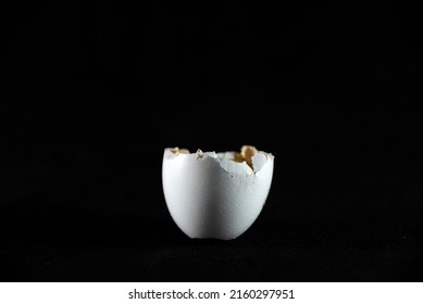 Broken Partridge Egg On Black Background Flash Light