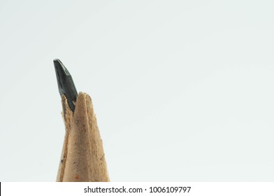 Broken pencil close up macro shot isolated on white background. - Powered by Shutterstock