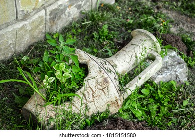 Broken Porcelain Amphora With Grass Growing Inside It. Close Up View.