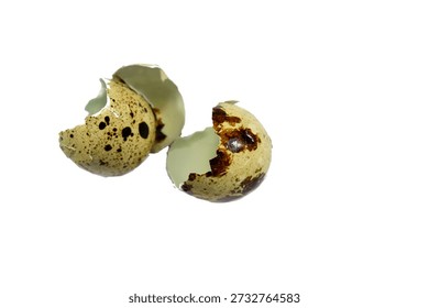 broken Quail egg shells, small, speckled, nutrient-dense eggs from quail birds, smaller than chicken eggs, a delicate, savory, and healthy, nutrient-packed alternative