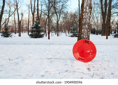 Broken red winter plastic saucer sled is standing by the tree. Beautiful park in winter time on a snowy day.