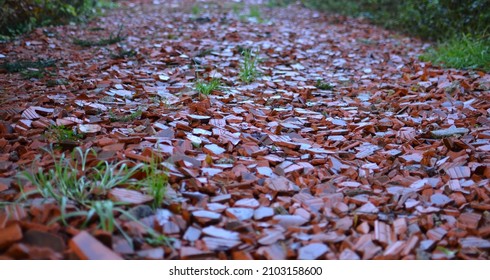 Broken Roof Tiles On Path In Forest