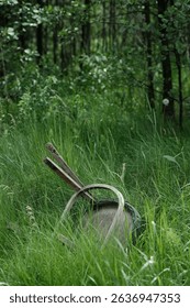 A broken, rustic wooden chair lies on its side, partially obscured by lush green grass. Its worn appearance suggests age and neglect. A dark, dense forest provides a natural backdrop.
