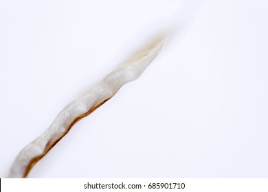 broken seashell abstract