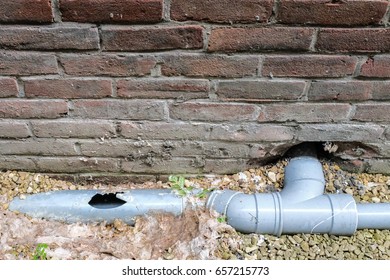 Broken Sewage Pipe / Plumbing
