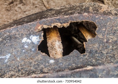 Broken Shell Of A Dead Leatherback Sea Turtle (Dermochelys Coriacea) At A Beach In Tortuguero National Park, Costa Rica