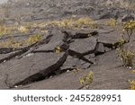 Broken slabs of black volcanic rock lying inside Kilauea Iki Crater in Hawai