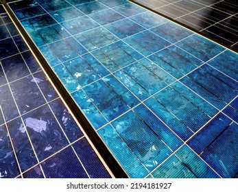 broken solar panel with tree shadow. Blue solar energy plate detail for green electric supply.