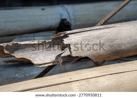 Broken and split piece of dry weathered bamboo pole