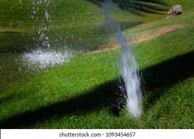 Broken Sprinkler In The Lawn, Water Clogging.