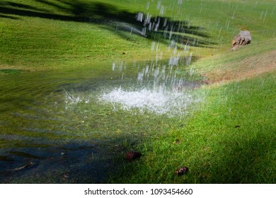 Broken Sprinkler In The Lawn, Water Clogging.