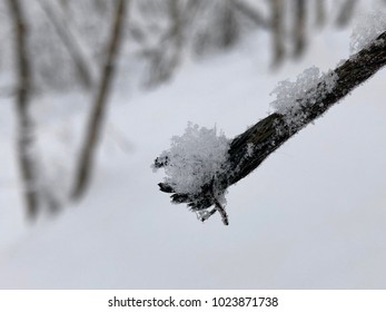 Broken Steel Cable In The Snow, Macro