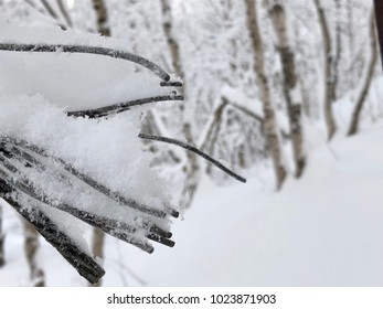 Broken Steel Cable In The Snow, Macro