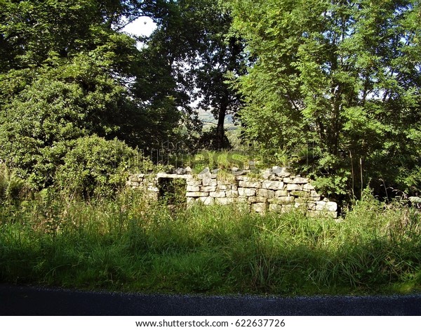 Broken Stone Wall Abandoned Cottage Covered Stock Photo Edit Now