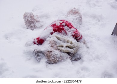 Broken Stuffed Animal Teddy Bear Ripped Up Buried In Snow Outside Naughty Dog Pet Animal Winter Fun Toys Big Dogs Canadian Weather Dog Playing Outside Cold Balcony Eating Ice Snowy Wet Nose Messy 