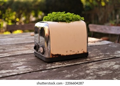 A Broken Toaster Repurposed As A Pot Plant