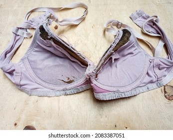 broken and torn bra on a wooden table
