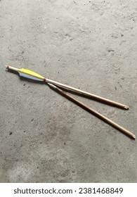 Broken Traditional Arrow devided 2 pieces