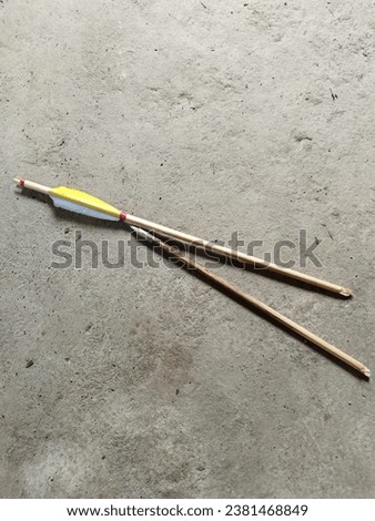 Broken Traditional Arrow devided 2 pieces