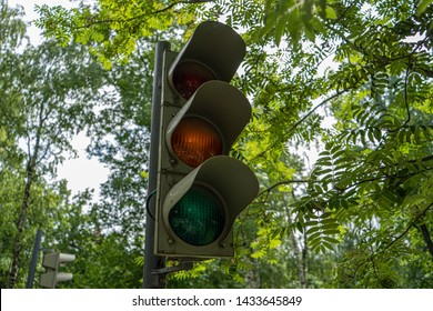 Broken Traffic Light With Green Leaves