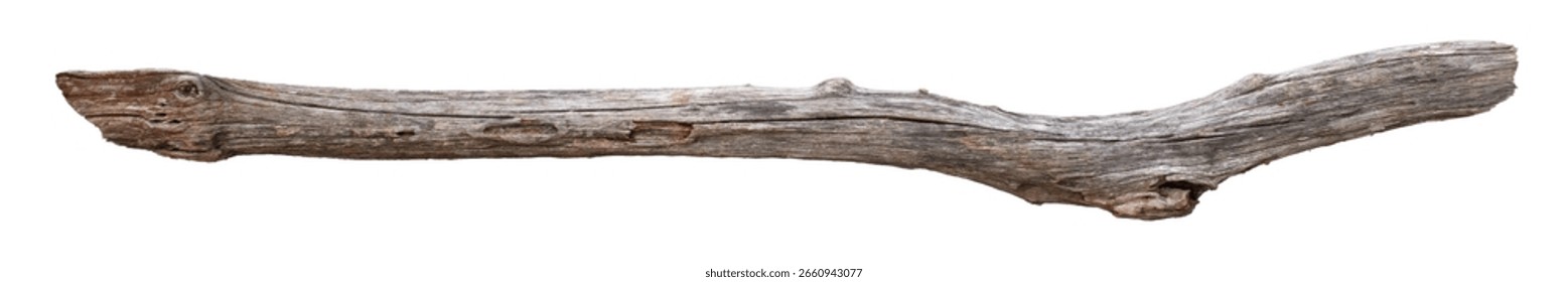 Broken tree branches with detached bark. Rustic wood branch. Weathered driftwood log isolated. Willow log isolate